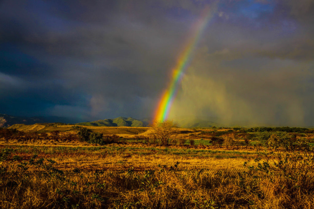 Rainbow ending over golden brush land